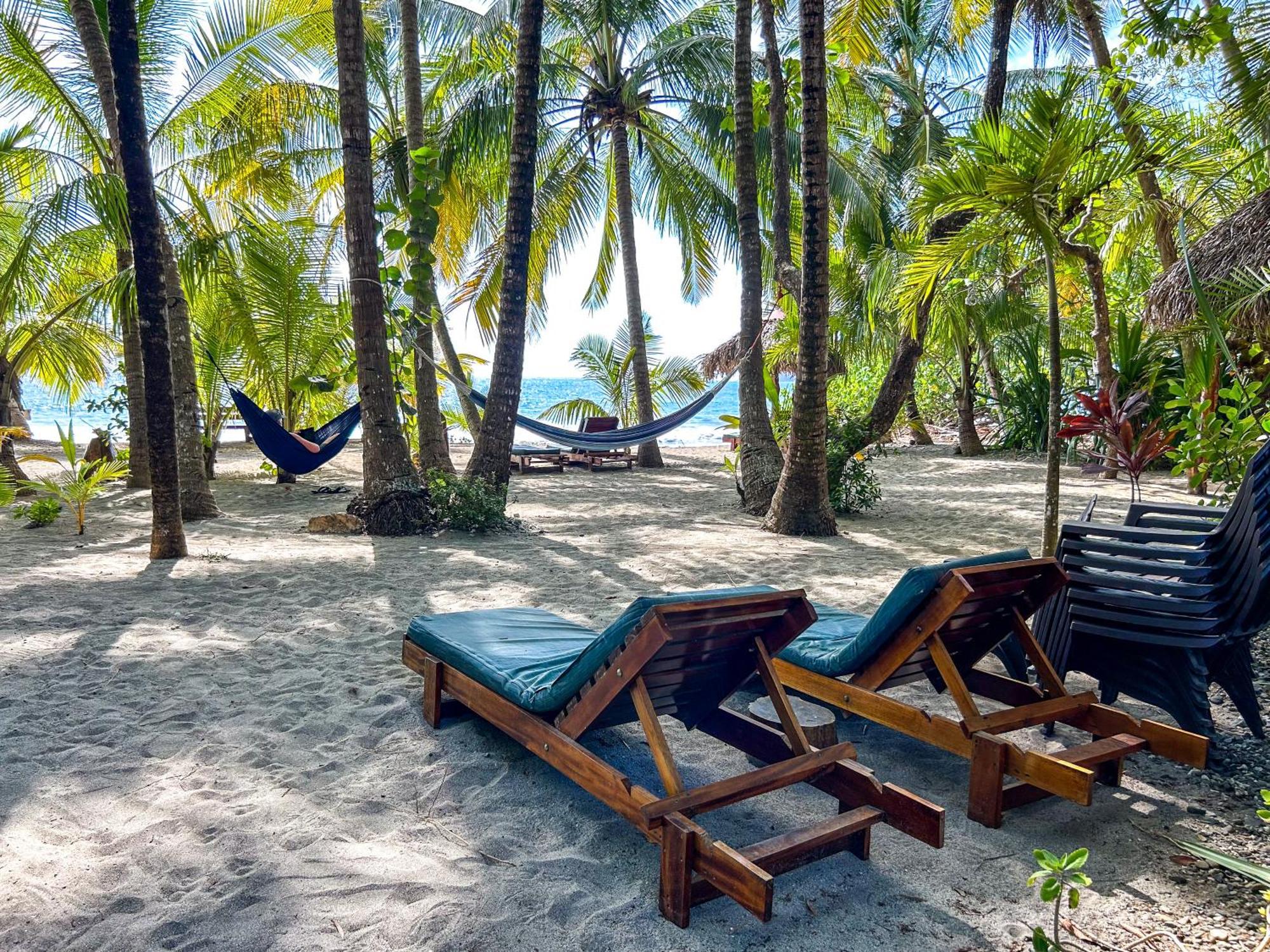 Fenix Hotel - On The Beach Samara Luaran gambar