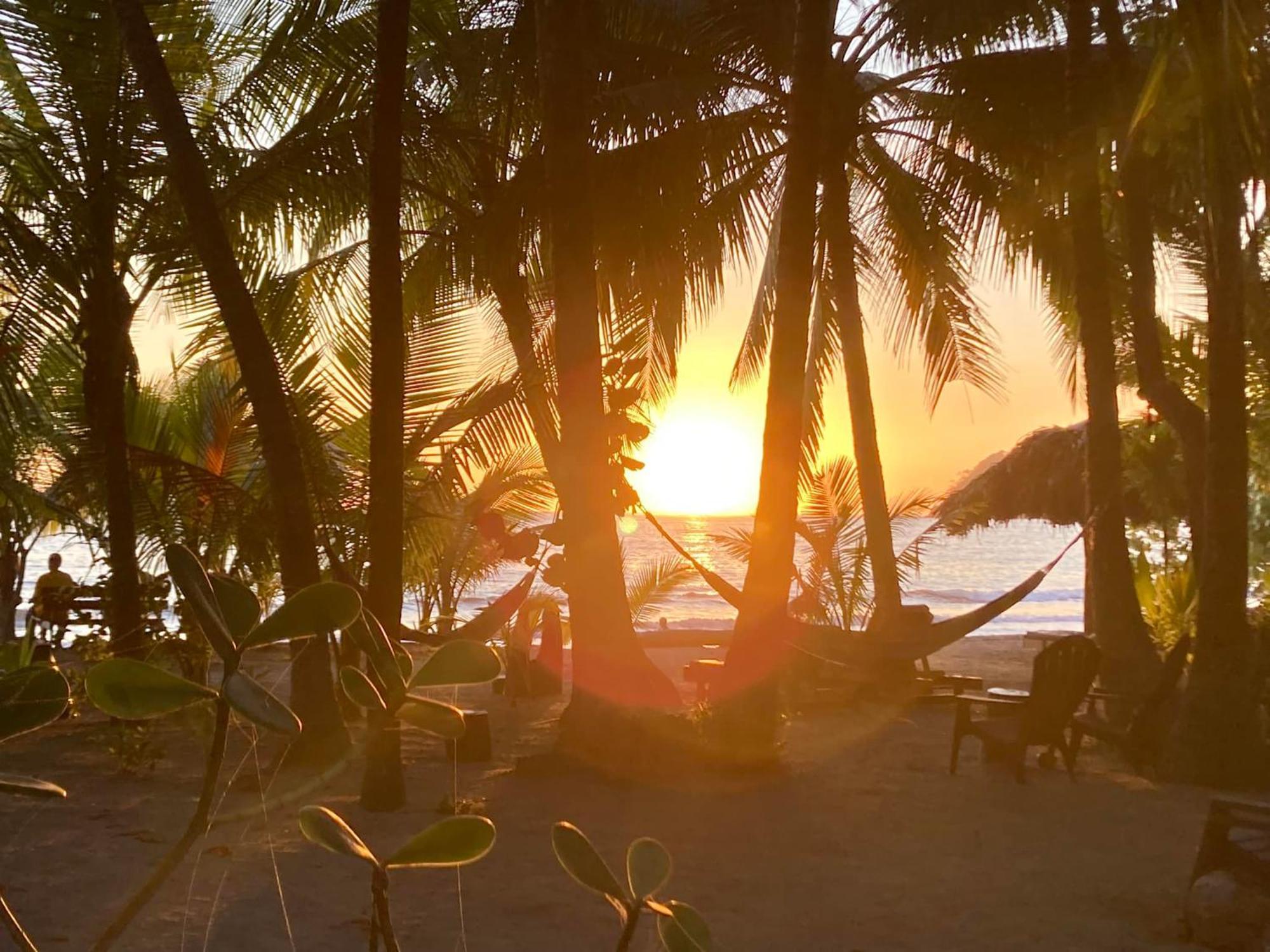 Fenix Hotel - On The Beach Samara Luaran gambar